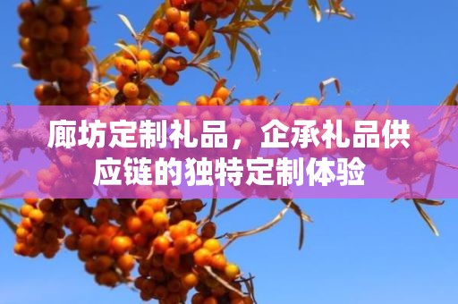 廊坊定制礼品，企承礼品供应链的独特定制体验