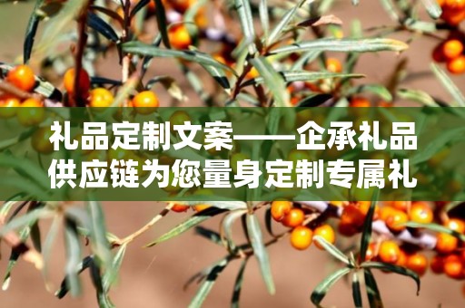 礼品定制文案——企承礼品供应链为您量身定制专属礼品